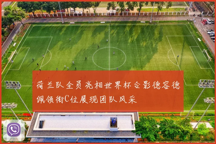 荷兰队全员亮相世界杯合影德容德佩领衔C位展现团队风采