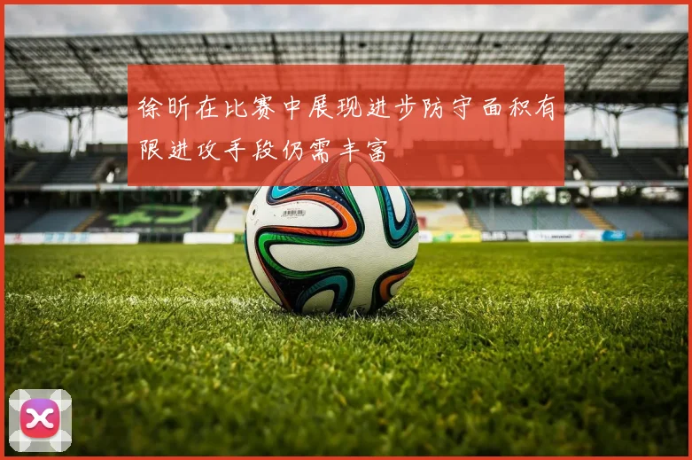 徐昕在比赛中展现进步防守面积有限进攻手段仍需丰富